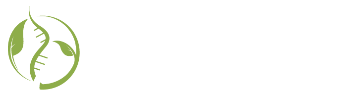 Envilutioin